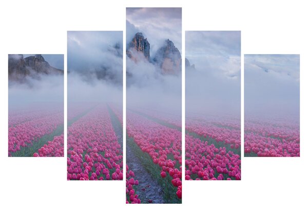 Slika - Krajolik s poljima tulipana (150x105 cm)