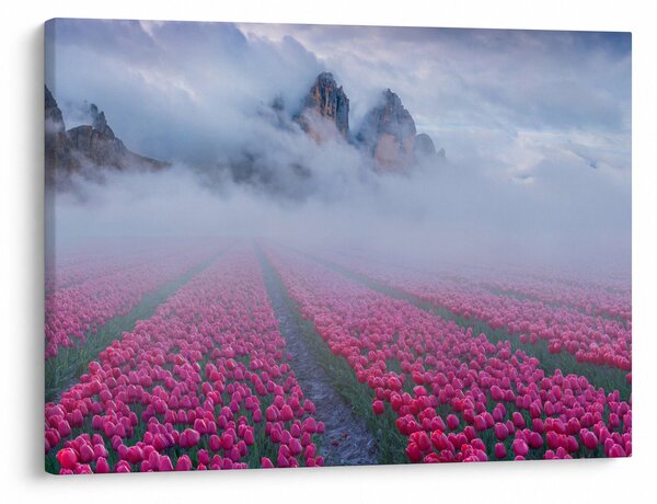 Slika - Krajolik s poljima tulipana (70x50 cm)