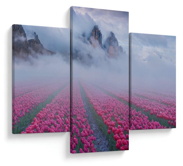 Slika - Krajolik s poljima tulipana (90x60 cm)