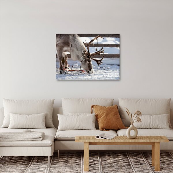 Slika - sub (70x50 cm)