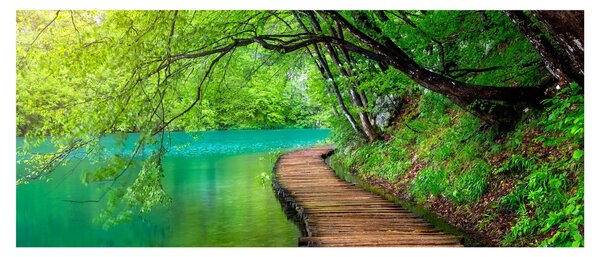 Slika - Plitvička jezera (120x50 cm)