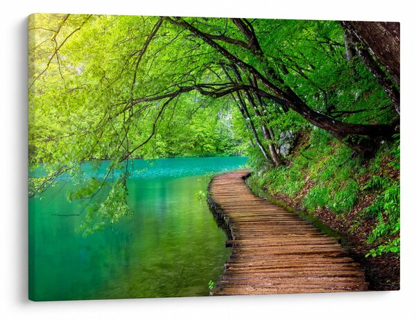 Slika - Plitvička jezera (70x50 cm)