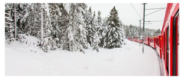 Slika - Vlak u snježnom krajoliku (120x50 cm)