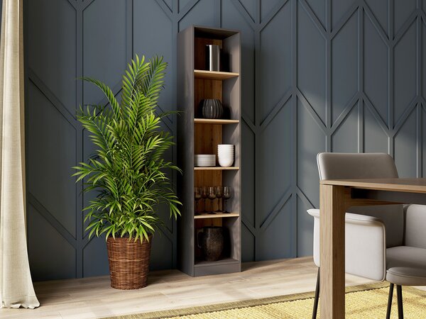 Riano MIX R50 regal, 50x181x30 cm, antracit-hrast