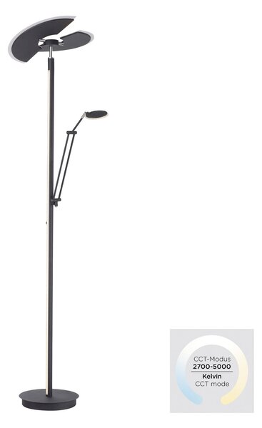 Podne Lampa PURE, PURE Mutil, prigušiv, Crno, Dnevna soba, Metal, Moderan