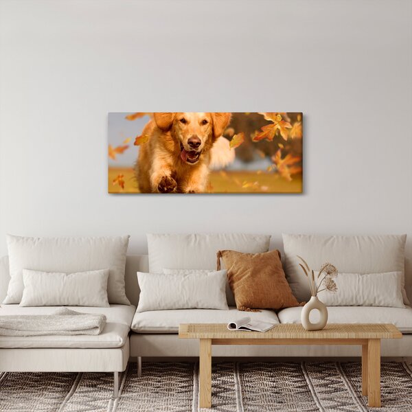 Slika - Zlatni retriver (120x50 cm)