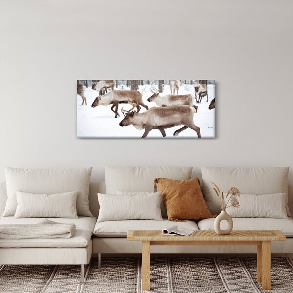 Slika - Sob (120x50 cm)
