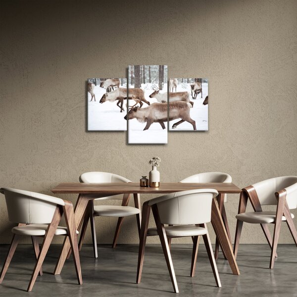 Slika - Sob (90x60 cm)