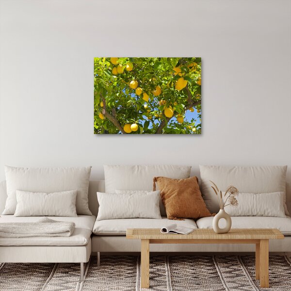 Slika - Limun (70x50 cm)