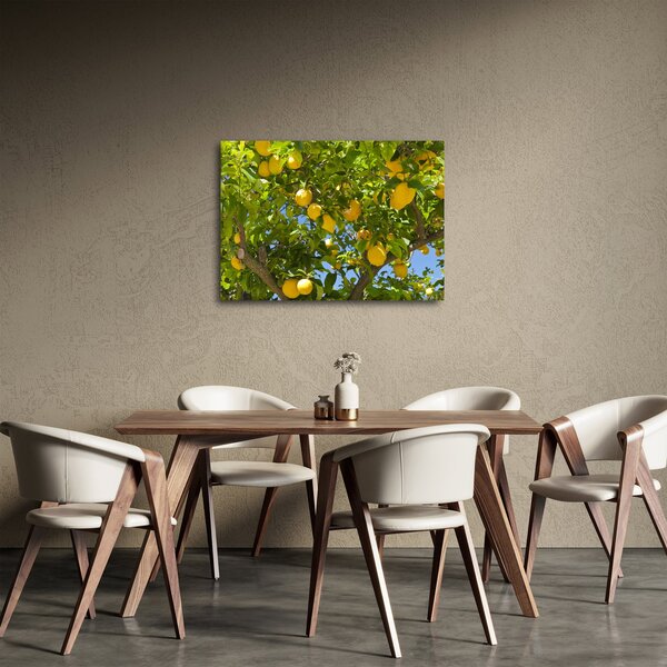 Slika - Limun (70x50 cm)