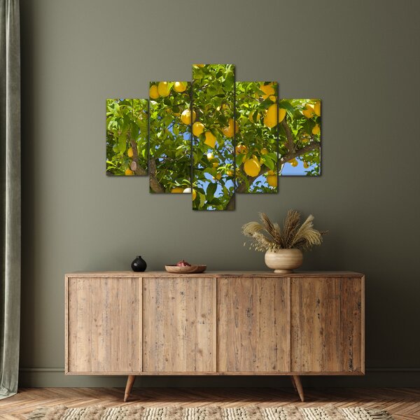Slika - Limun (150x105 cm)