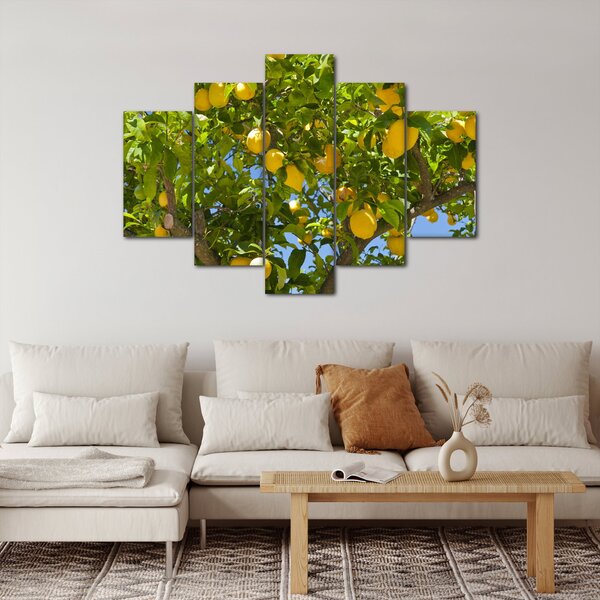 Slika - Limun (150x105 cm)