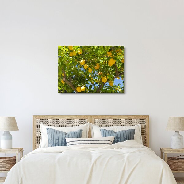 Slika - Limun (70x50 cm)