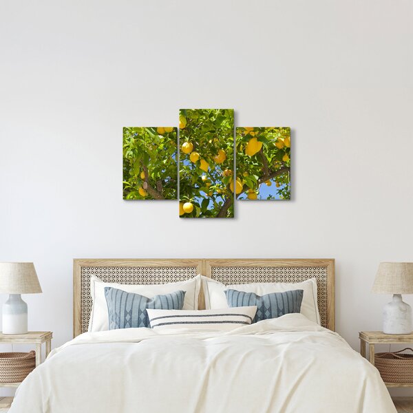 Slika - Limun (90x60 cm)