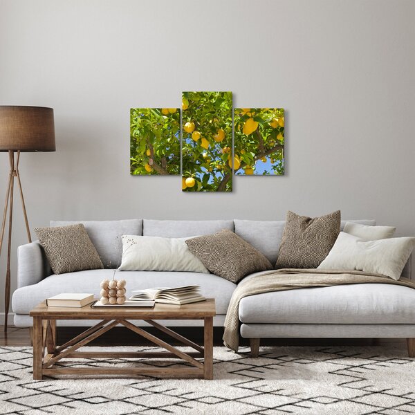 Slika - Limun (90x60 cm)