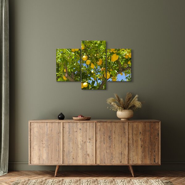 Slika - Limun (90x60 cm)