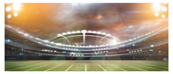 Slika - Stadion (120x50 cm)
