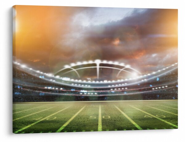 Slika - Stadion (70x50 cm)