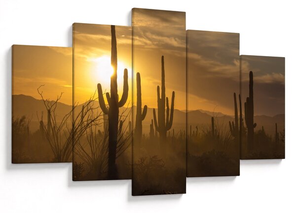 Slika - Saguaro kaktusi (150x105 cm)