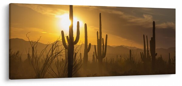 Slika - Saguaro kaktusi (120x50 cm)