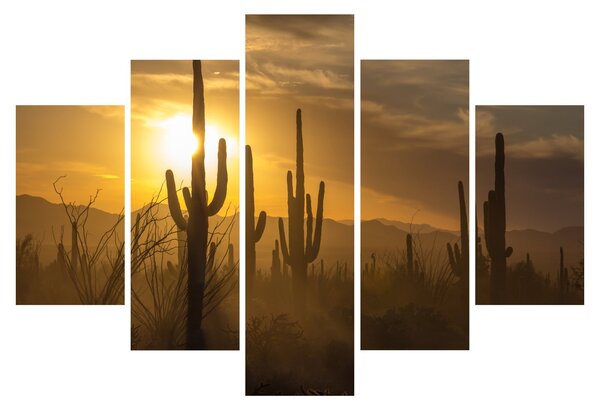 Slika - Saguaro kaktusi (150x105 cm)