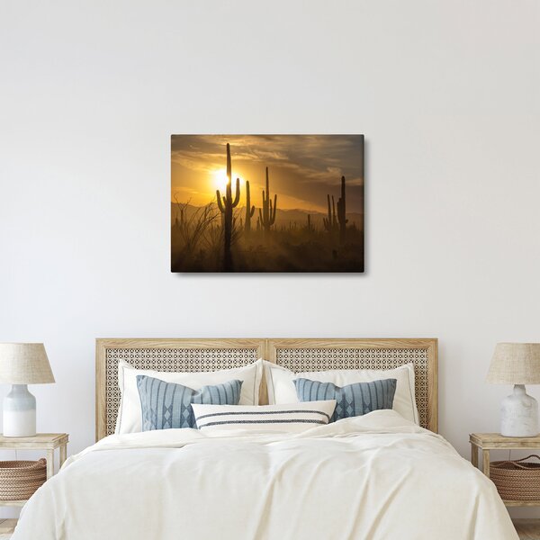 Slika - Saguaro kaktusi (70x50 cm)