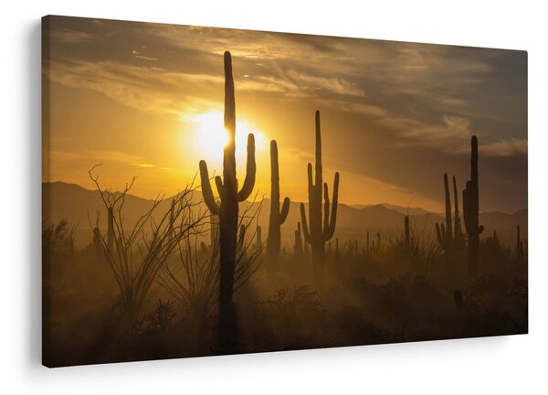 Slika - Saguaro kaktusi (90x60 cm)