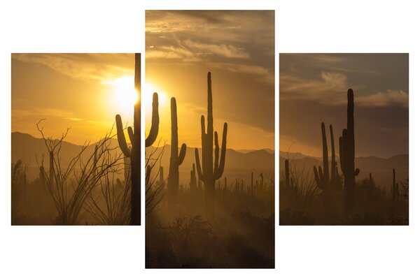 Slika - Saguaro kaktusi (90x60 cm)