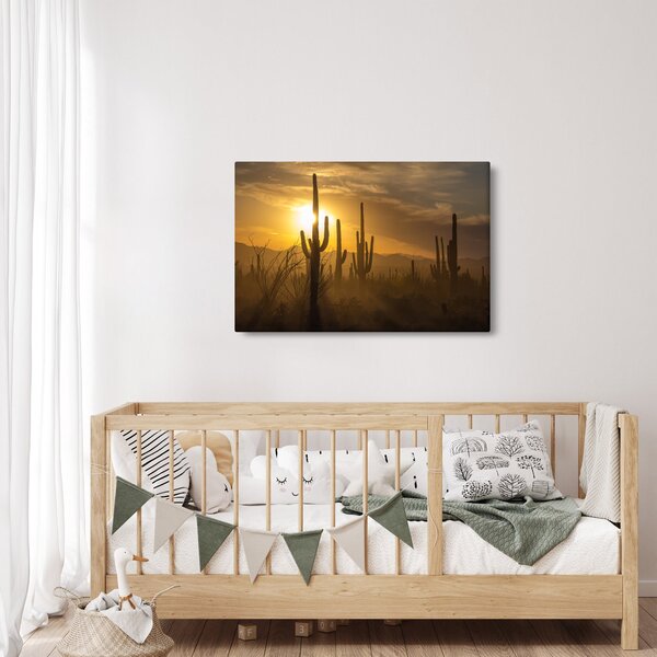 Slika - Saguaro kaktusi (90x60 cm)