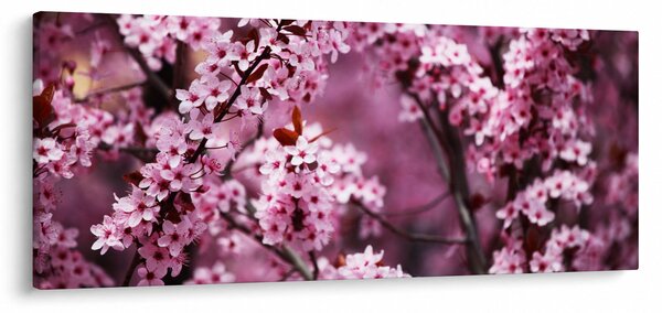 Slika - Ružičasta sakura (120x50 cm)