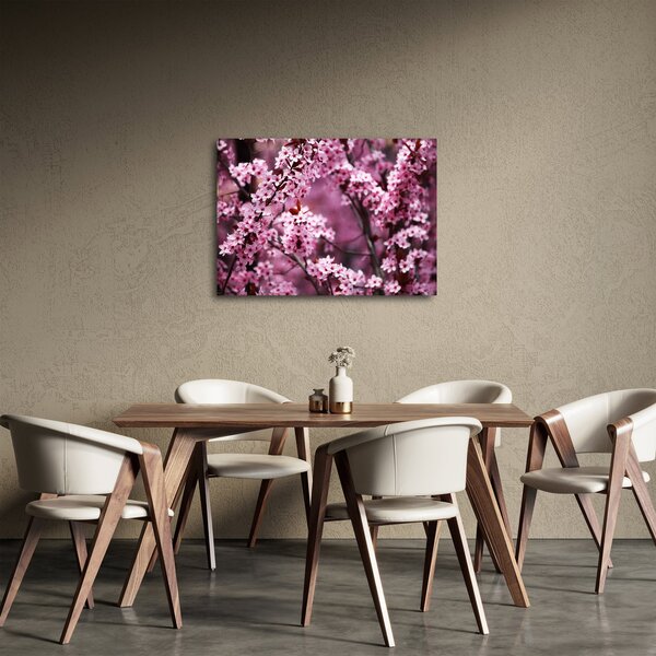 Slika - Ružičasta sakura (70x50 cm)