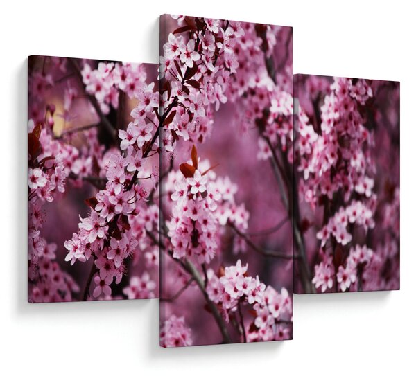Slika - Ružičasta sakura (90x60 cm)