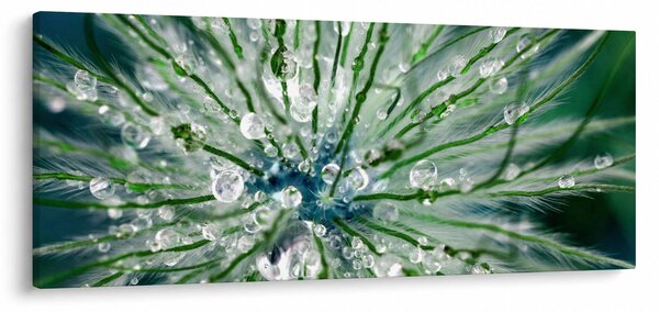 Slika - Makro slika cvijeta (120x50 cm)
