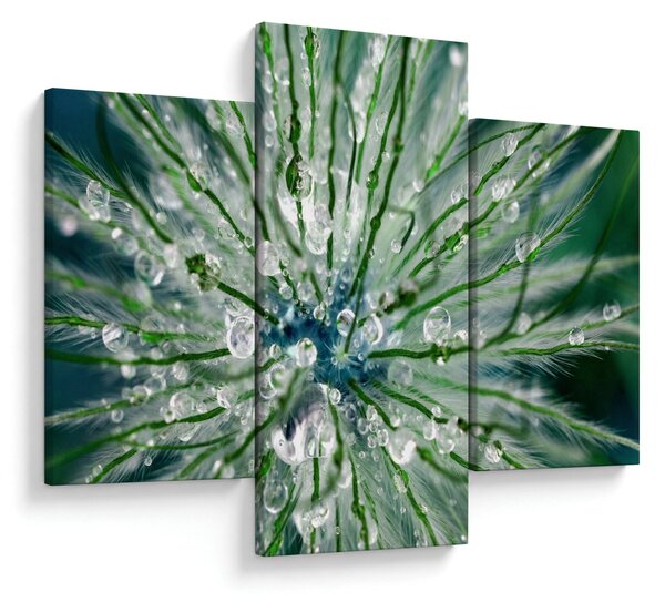 Slika - Makro slika cvijeta (90x60 cm)
