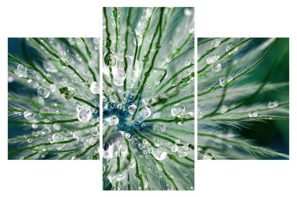 Slika - Makro slika cvijeta (90x60 cm)