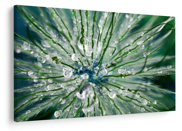 Slika - Makro slika cvijeta (90x60 cm)