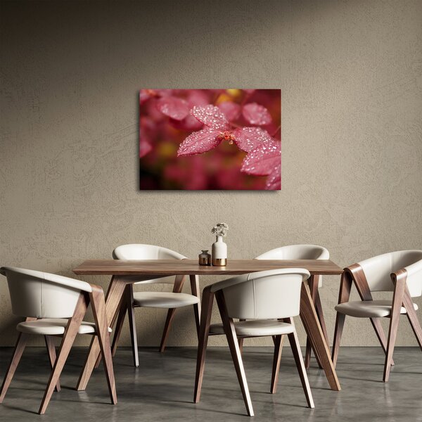 Slika - Makro slika ulaznice (70x50 cm)