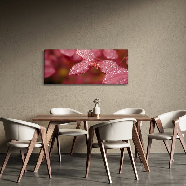Slika - Makro slika ulaznice (120x50 cm)
