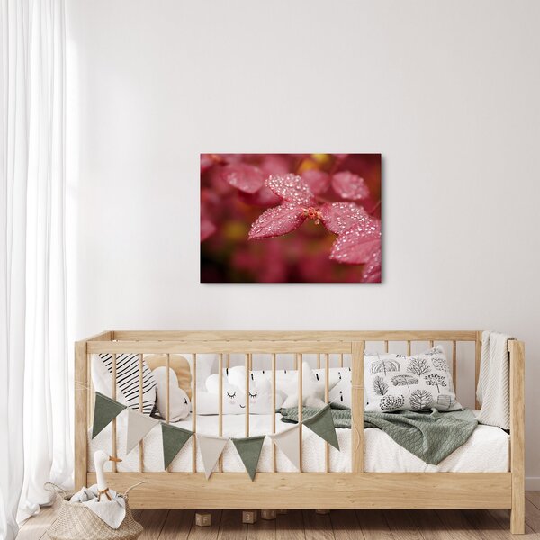 Slika - Makro slika ulaznice (70x50 cm)