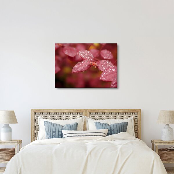 Slika - Makro slika ulaznice (70x50 cm)
