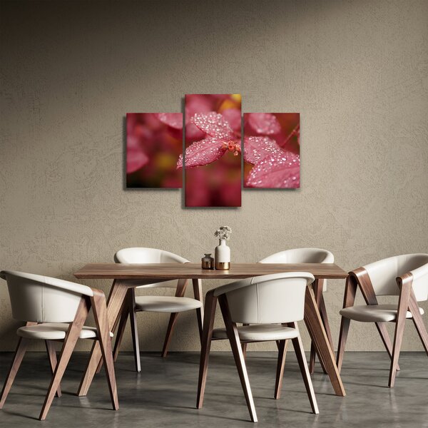 Slika - Makro slika ulaznice (90x60 cm)