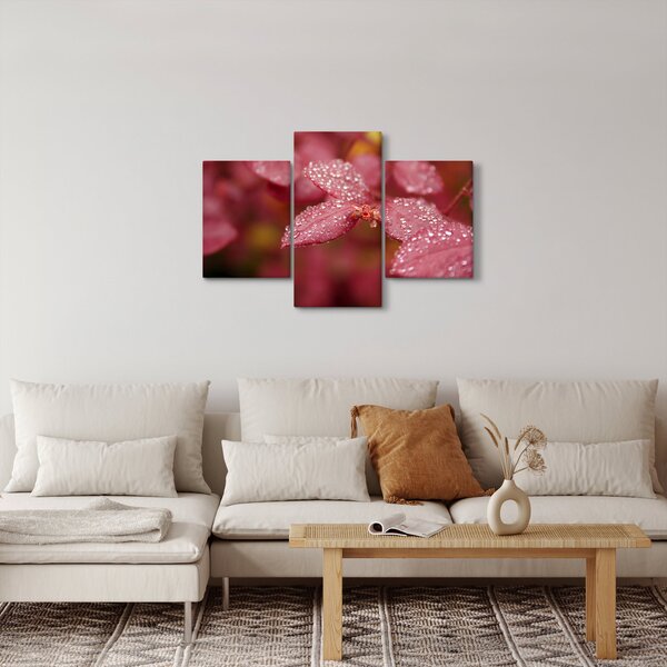 Slika - Makro slika ulaznice (90x60 cm)