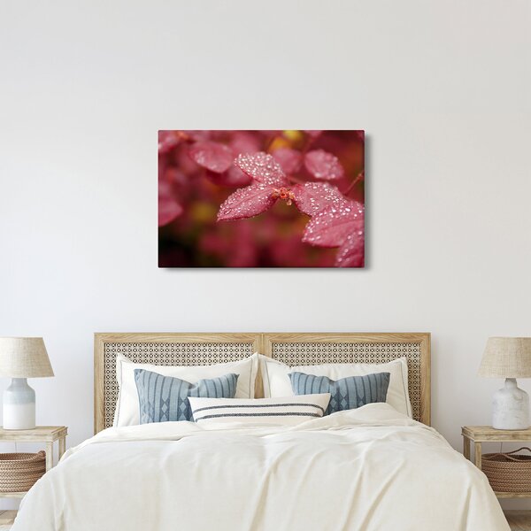 Slika - Makro slika ulaznice (90x60 cm)