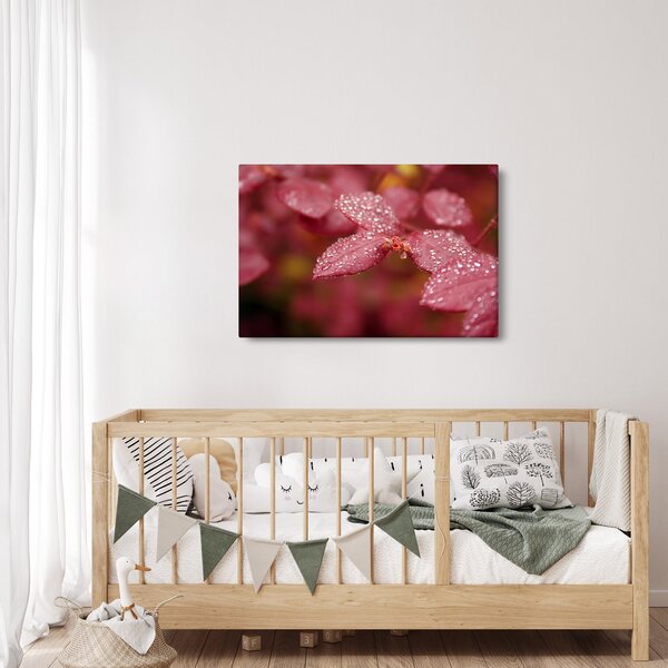 Slika - Makro slika ulaznice (90x60 cm)