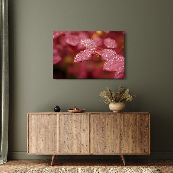 Slika - Makro slika ulaznice (90x60 cm)