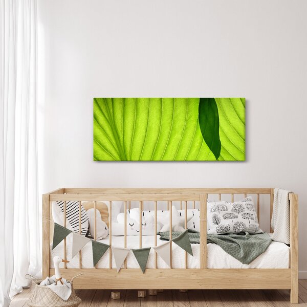 Slika - Detalj zelenog lista (120x50 cm)
