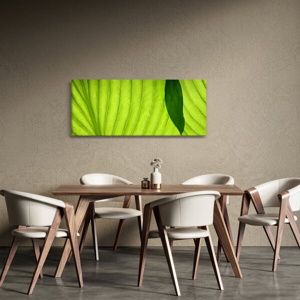 Slika - Detalj zelenog lista (120x50 cm)