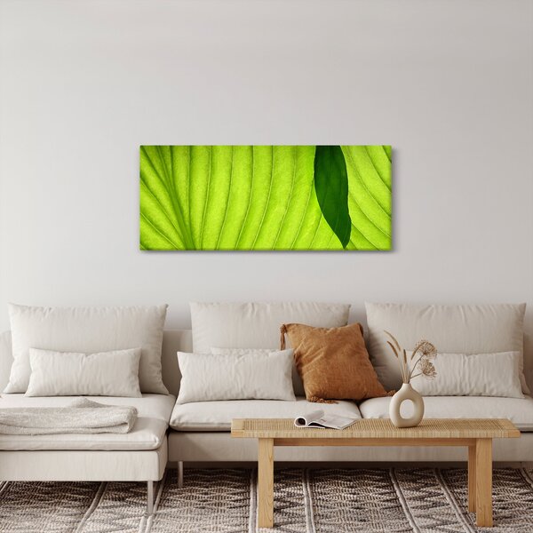 Slika - Detalj zelenog lista (120x50 cm)