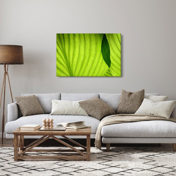 Slika - Detalj zelenog lista (90x60 cm)