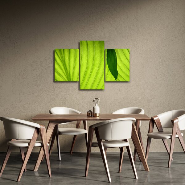 Slika - Detalj zelenog lista (90x60 cm)